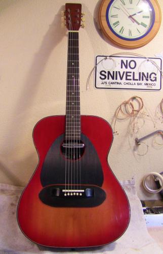 Samco Lap Steel conversion